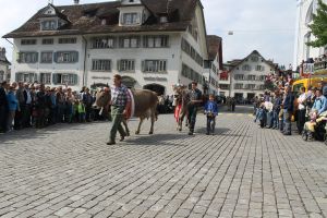 140922Schwyz 173